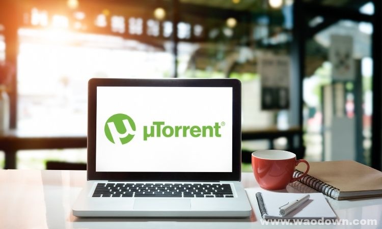 uTorrent Pro 6.6.1 Build 43589 破解激活码