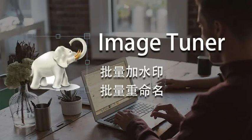 Image Tuner Pro 8 中文免费版|图片批量处理器破解版下载
