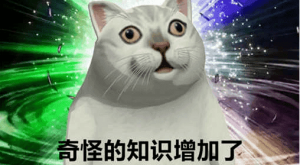 电脑上数据误删丢失恢复方法分享，小白也能轻松搞定。-哇哦菌