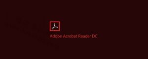 PDF编辑器-Adobe Acrobat Pro DC 2022直装破解版-哇哦菌