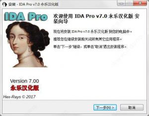 反编译工具-IDA Pro v7.0中文汉化版-哇哦菌