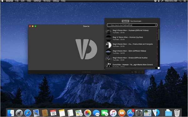图片[3]-Downie 4 中文破解版mac电脑版免费下载附使用教程-哇哦菌