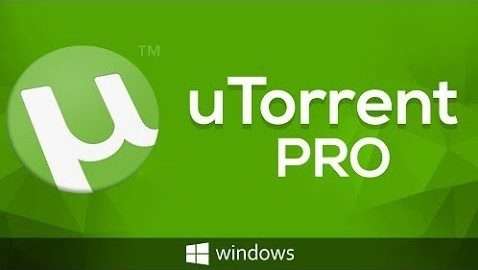 Torrent客户端-uTorrent V3.6.0便携版