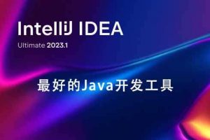 Java 开发工具-IntelliJ IDEA 2023破解版-哇哦菌