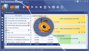 下载管理器-Ant Download Manager V2.10.7中文便携版-哇哦菌