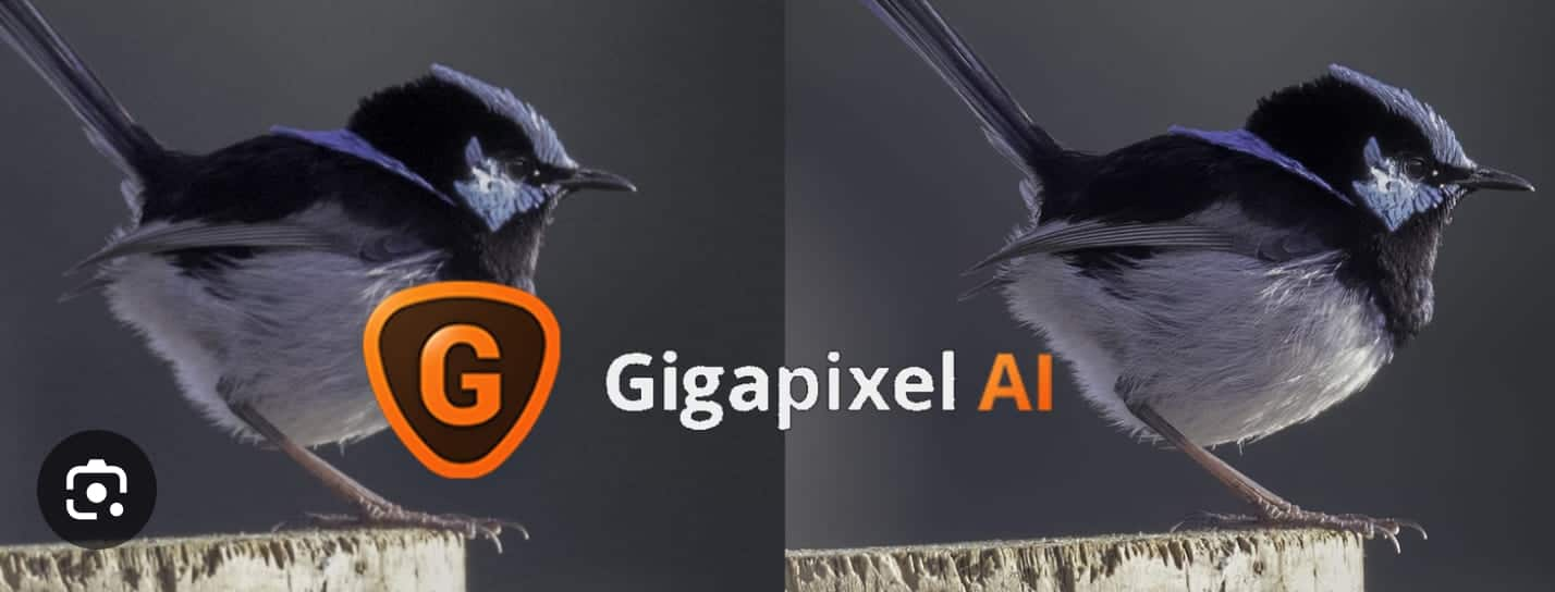 Topaz Labs AI Gigapixel7.1.3破解版(图片无损放大)免费下载-哇哦菌