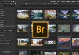 资源管理器-Adobe Bridge 2024破解版-哇哦菌